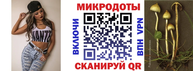 Галлюциногенные грибы Cubensis  продажа наркотиков  Кремёнки 
